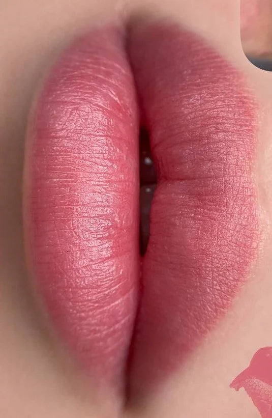 FACE Permanent pigment CARAMEL 6 ml